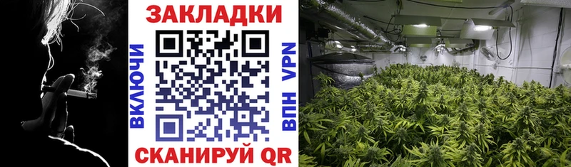 Марихуана Кисловодск