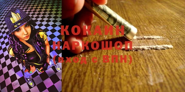 сатива Болхов