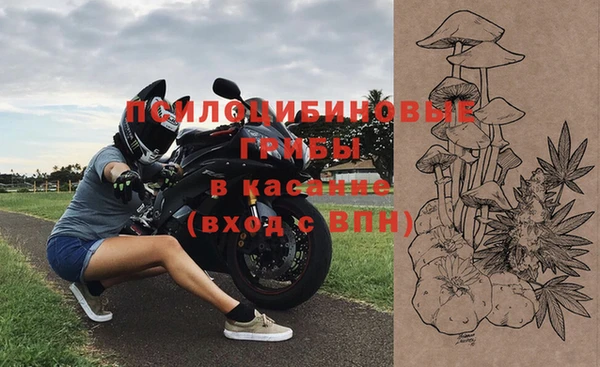 СК Пестово