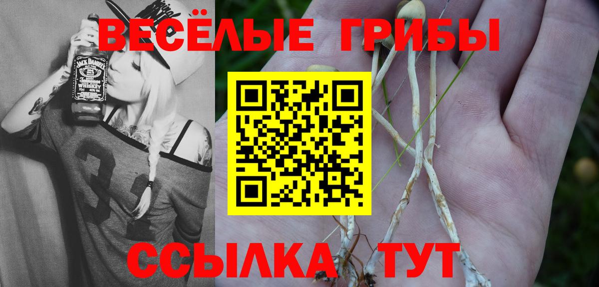 Галлюциногенные грибы мицелий Кисловодск