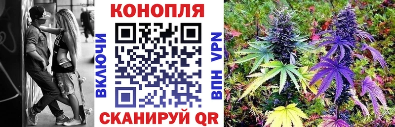 как найти закладки  Кисловодск  Канабис ГИДРОПОН 